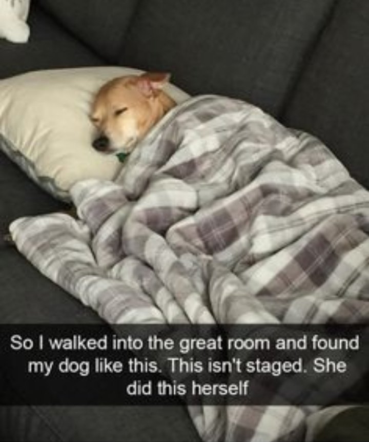 4. Well, everyone's gotta get cozy someday, right 