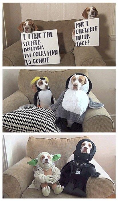 8. Serves you both right 