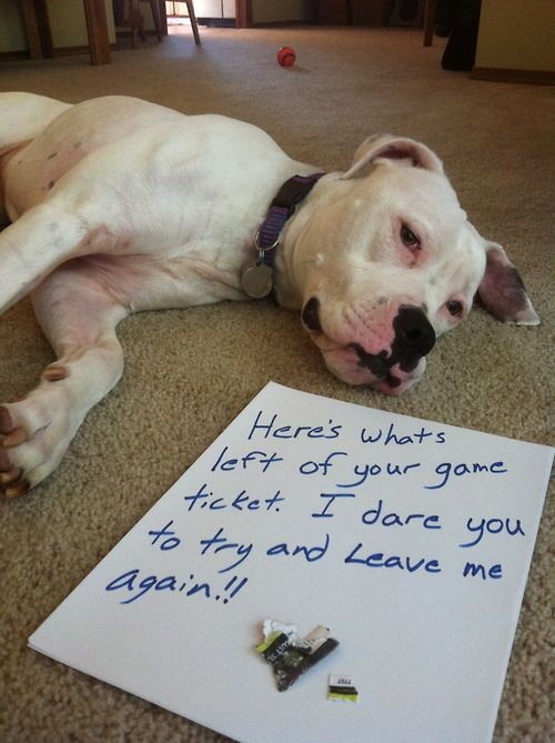 10. One game remaining, and you do this 