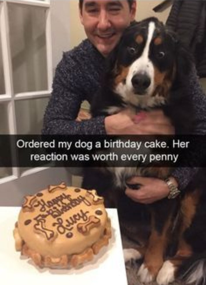 11. I guess she saw the video of the dog cake 