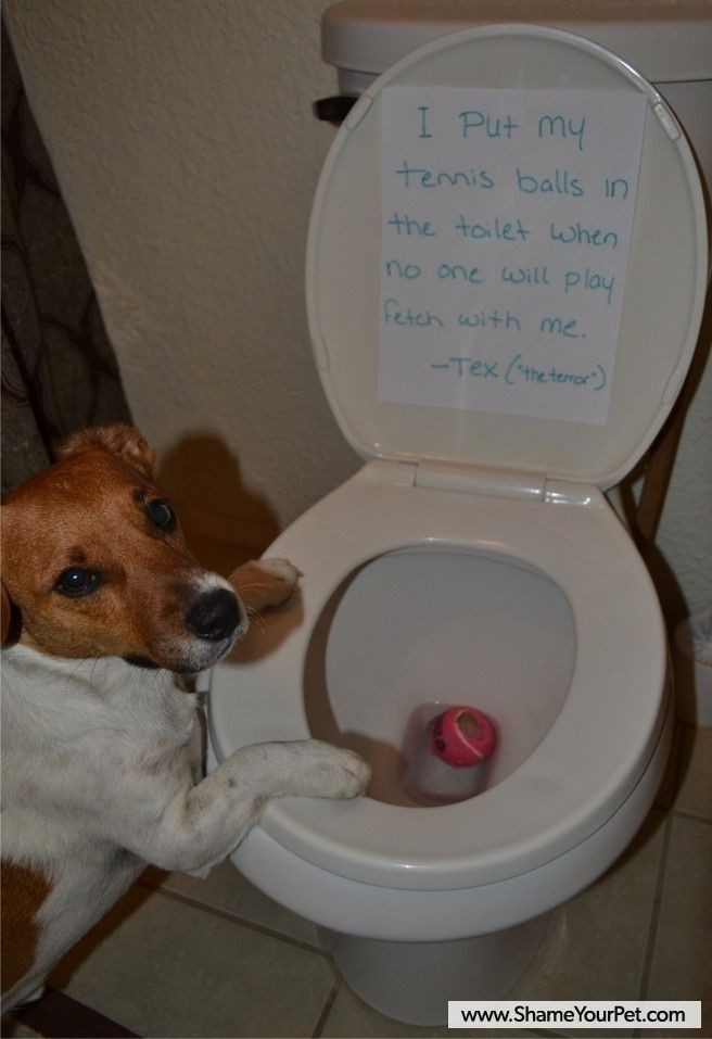 14. Attention Seeker 