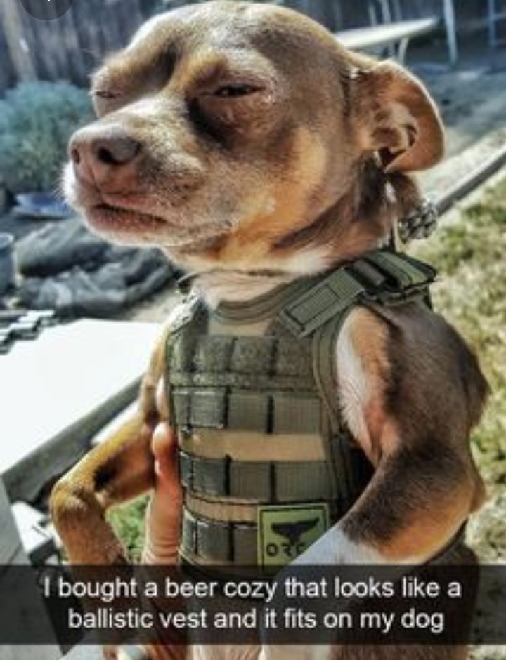 16. Call him Doggy Richh 