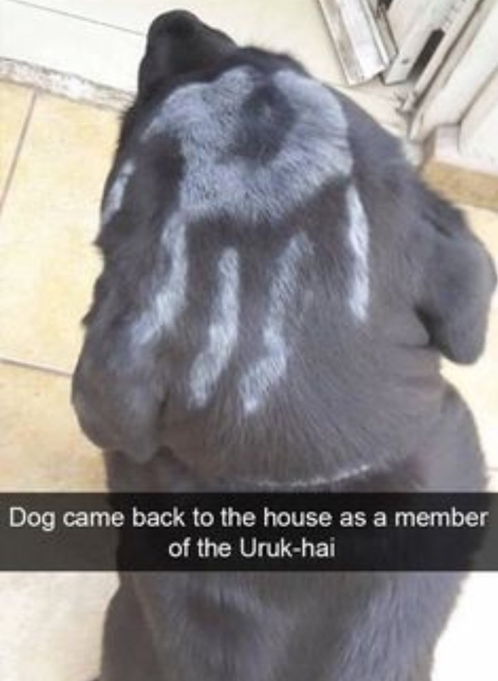 15. He joined the legion of assassin's 