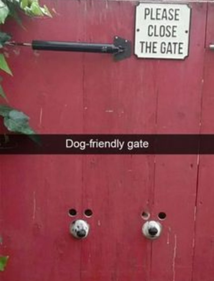 18. They're not missing this gist that's for sure 