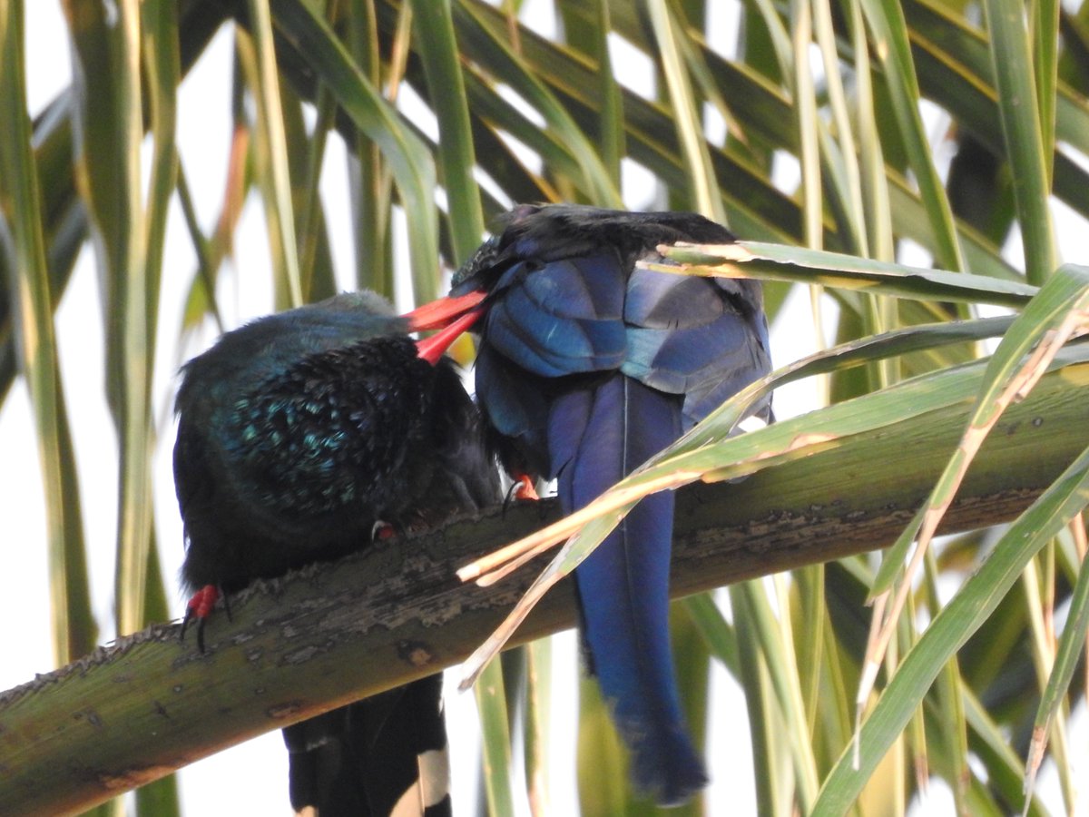 Good Morning Peeps and #HappyFriday to yo all 
The #weekendcountdown has begun 
Come #DoIt with us this #weekend and take in the freshness of #Nature 
bsorah.com