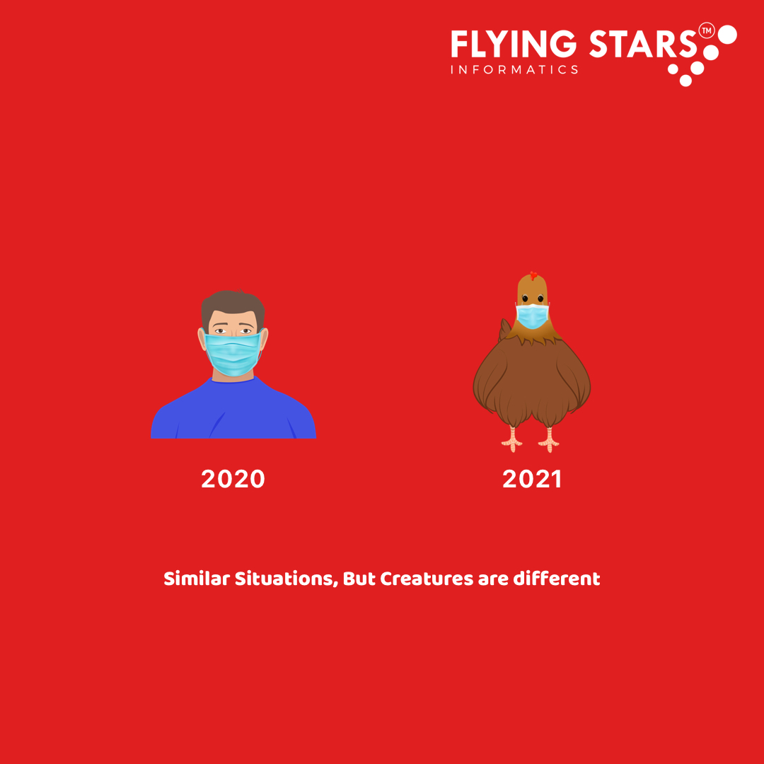 flyingstarsgrp's tweet photo. Similar situations, But creatures are different. 
2020 - coronavirus
2021 -  bird flu

#birdlife  #BirdFlu  #BirdsSeenIn2021  #coivd19 #coronarivus #coronaupdates  #2020problem #2021problem #health https://t.co/4JGychuU47