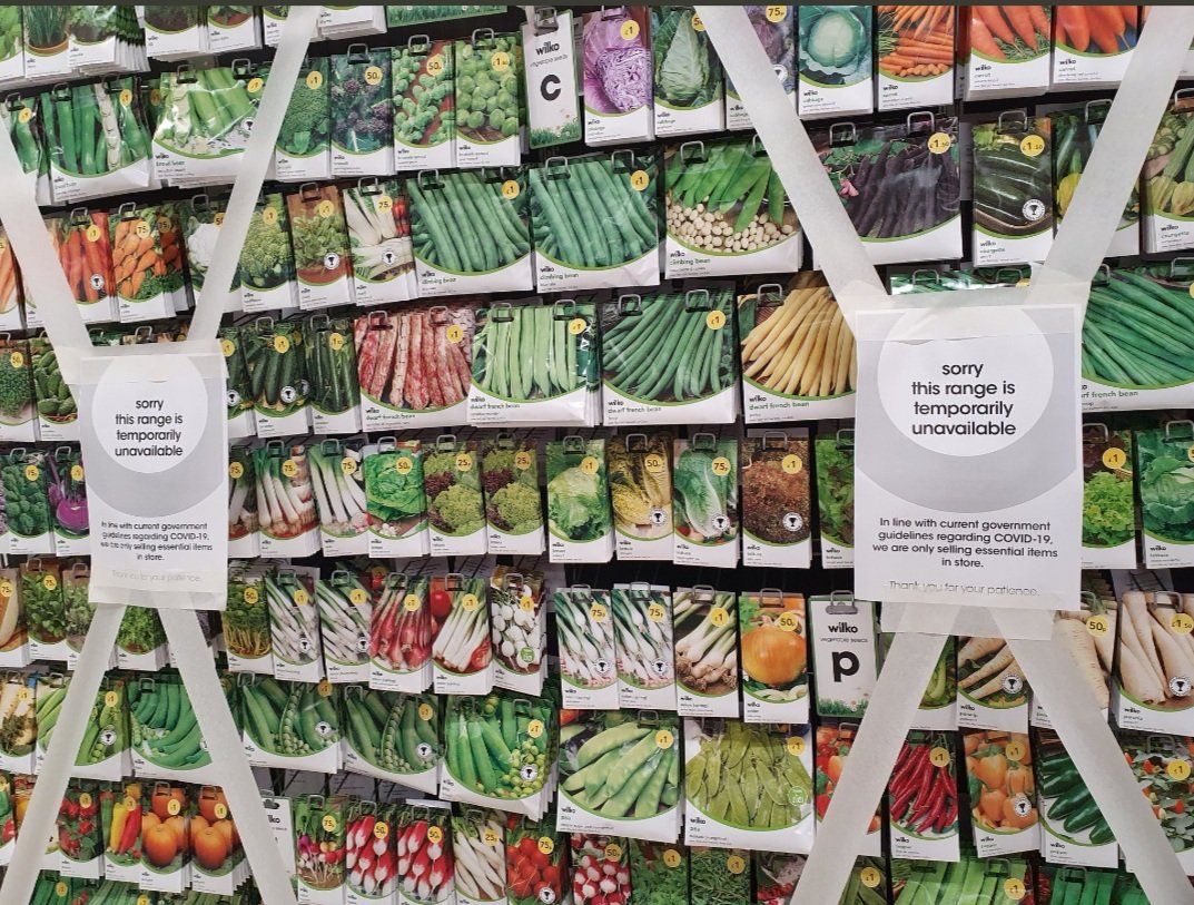 neiljmcevoy's tweet image. Officialdom in Wales gone mad. Growing food is non-essential? #Drakeford #LabourinWales