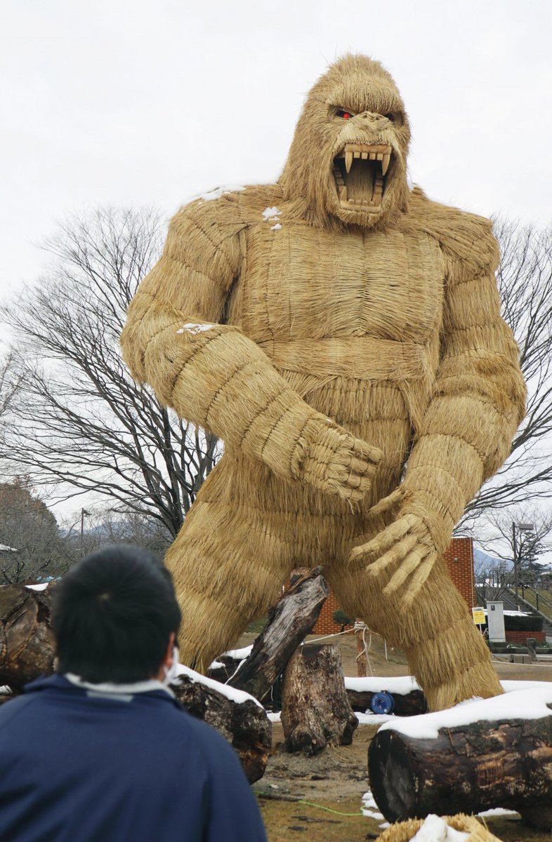 うわー！😲
 筑前のゴリラ/福岡