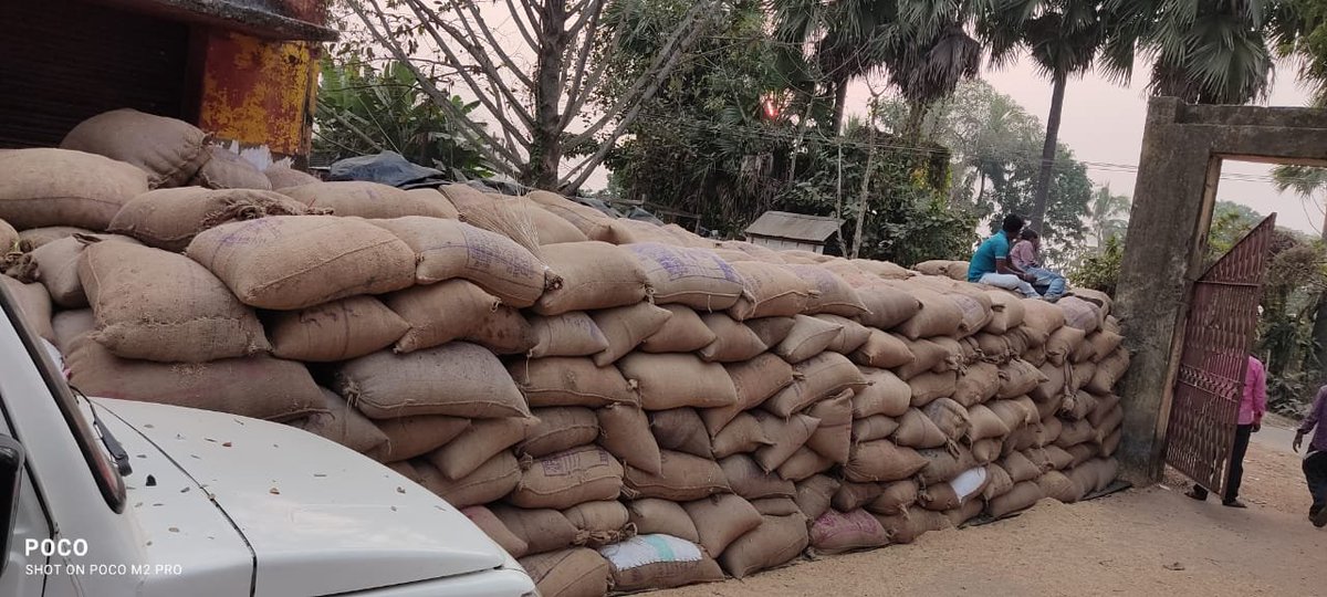 Arcs_Bhadrak's tweet photo. Paddy PROCRUMENT operation started at pacs during Kms20-21 https://t.co/XXg15sQViT