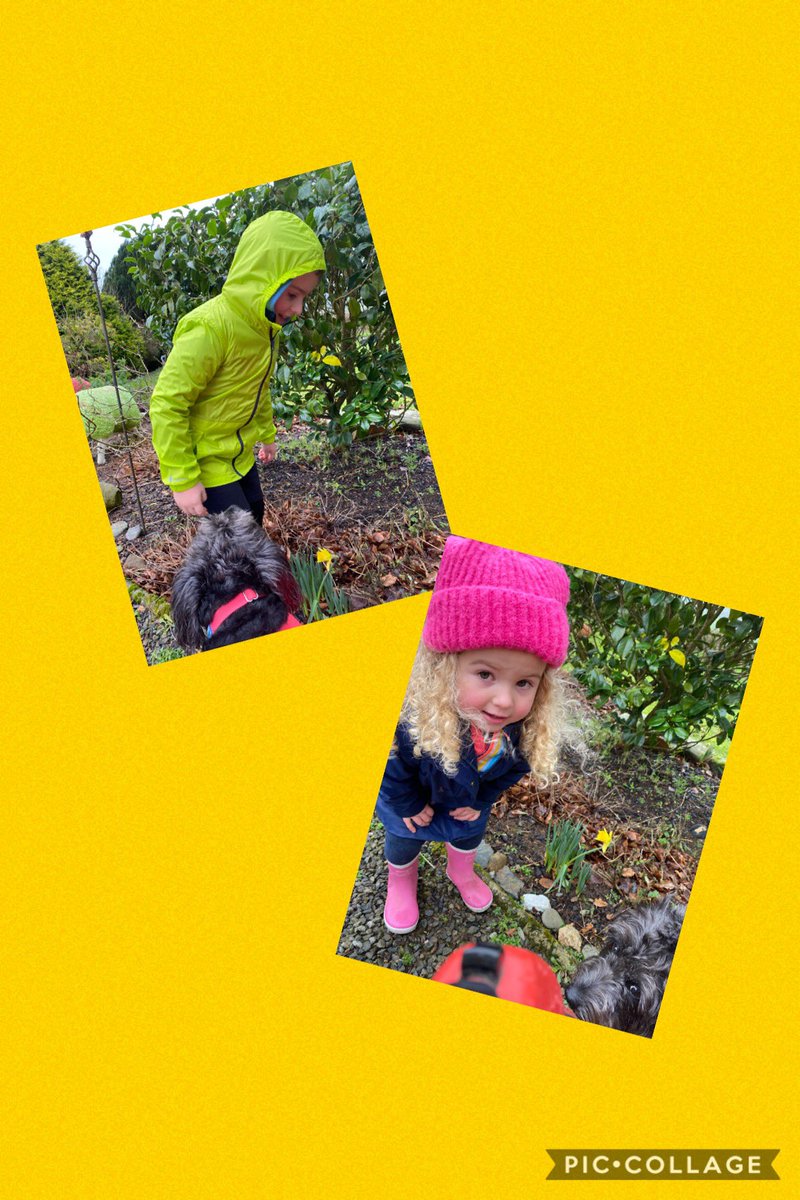 Rhian Alwena Evans tweet media