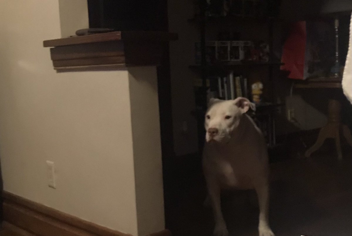 WE ARE NOT ALONE ANYMORE