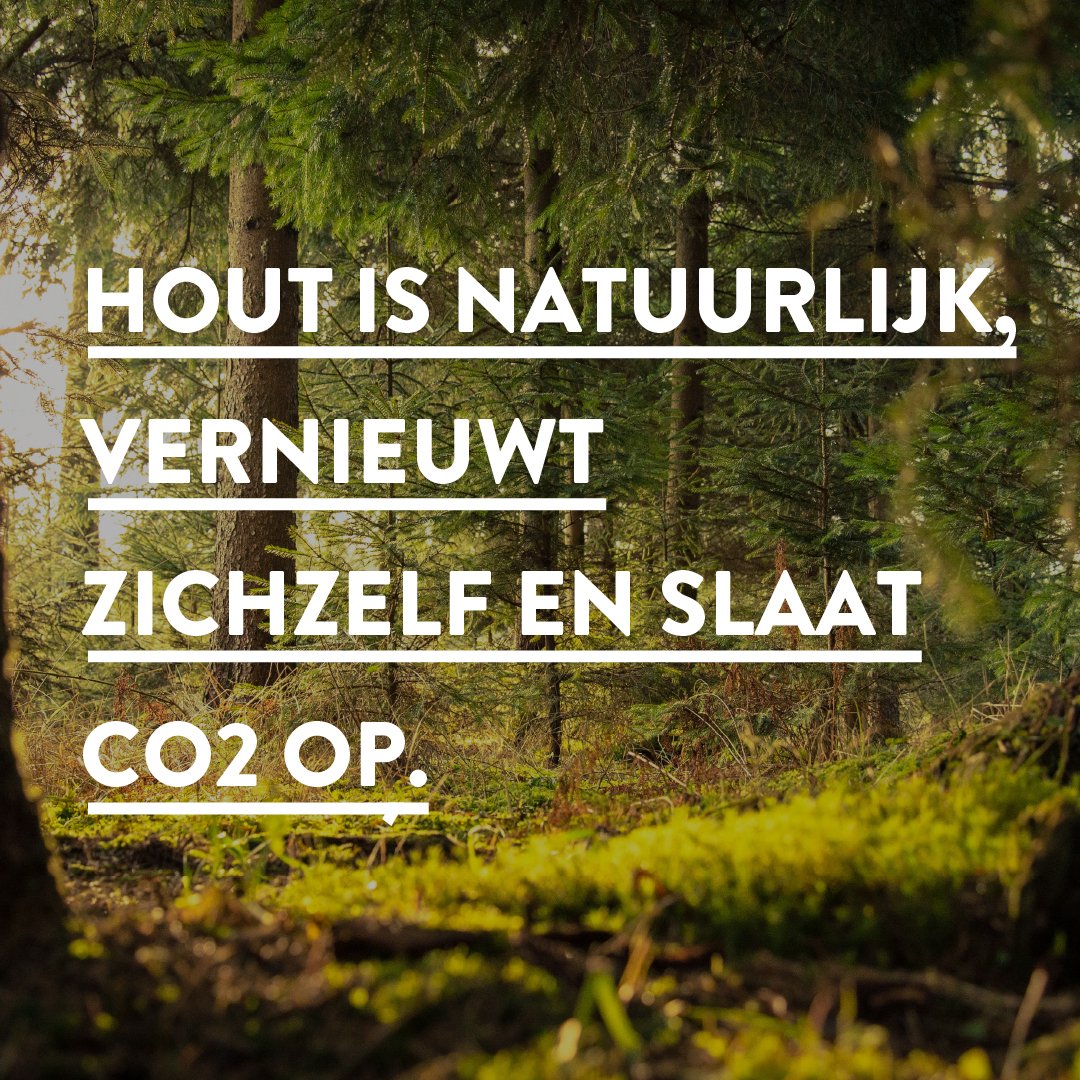 Kozijnen van hout tweet media