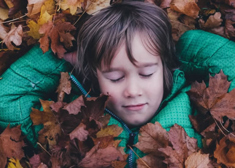 Finletic tweet media