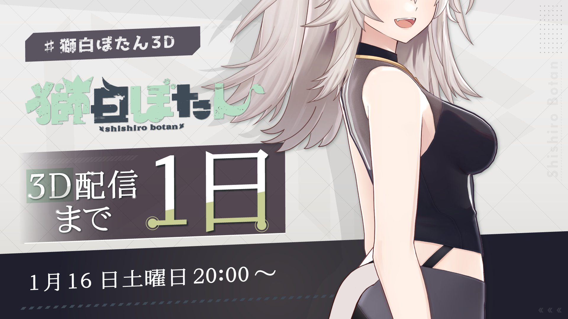 獅白ぼたん　大阪梅田　8点セット 51pLp5yfltL._UF350,350_QL80_.jpg
