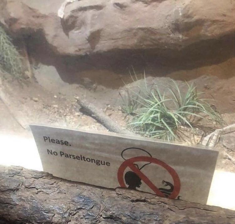 Spotted at a snake exhibit 🐍