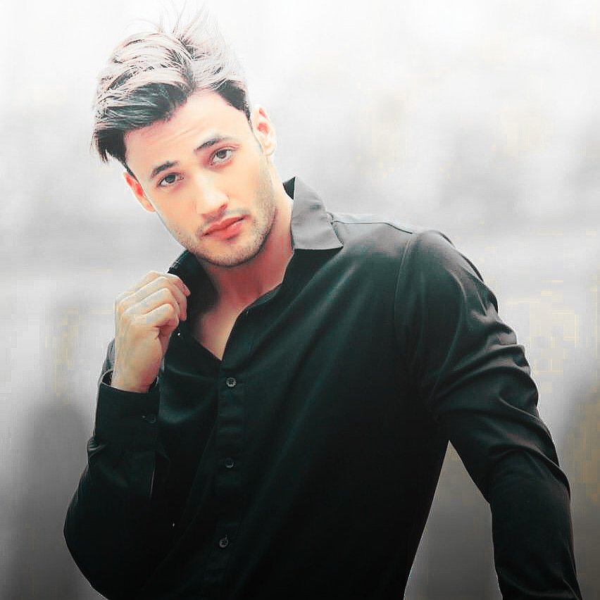 SALMAN KHAN X ASIM RIAZ ~ A Thread! #SalmanKhan  #AsimRiaz