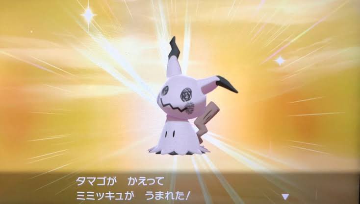 ポケモン剣盾色違い確定卵