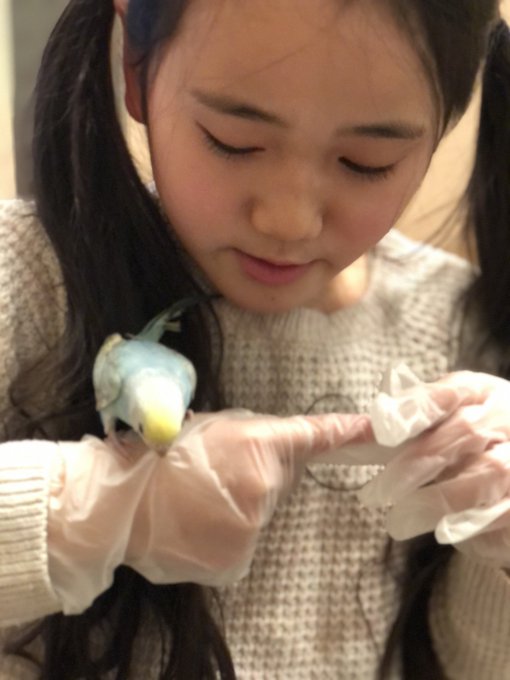 Twitterのコスプレ画像59