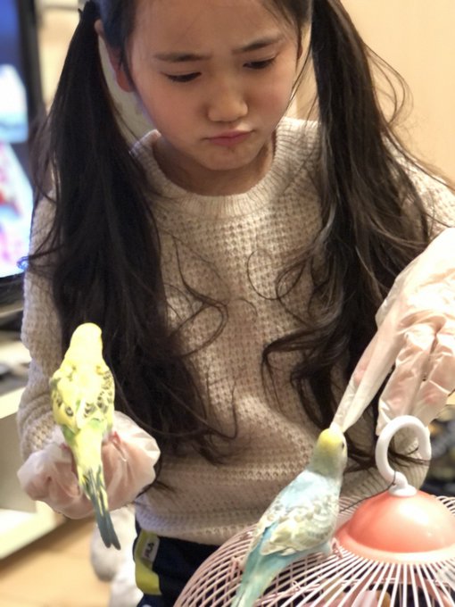 Twitterのコスプレ画像60