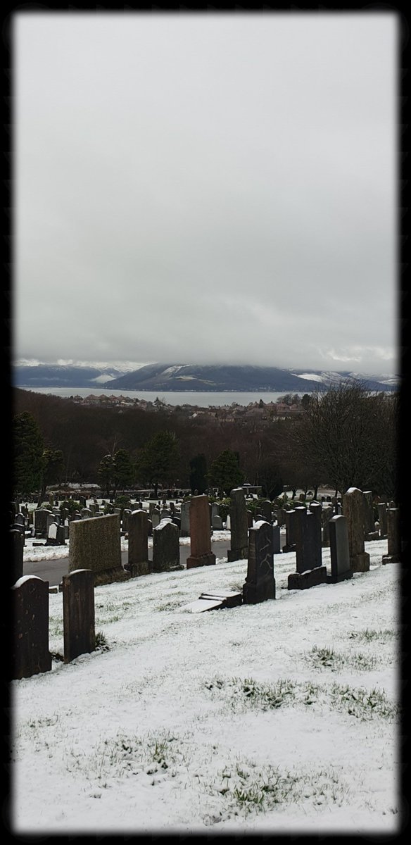 TheCemetress's tweet photo. Happy Friday Everyone ⚰🌲✌🏽🖤
From yesterday's walk at
#TheCemeteryNextDoor 
#CemeteryTree 
#Gravestones
#MyView
#Winter https://t.co/XGFjmQ1jEw