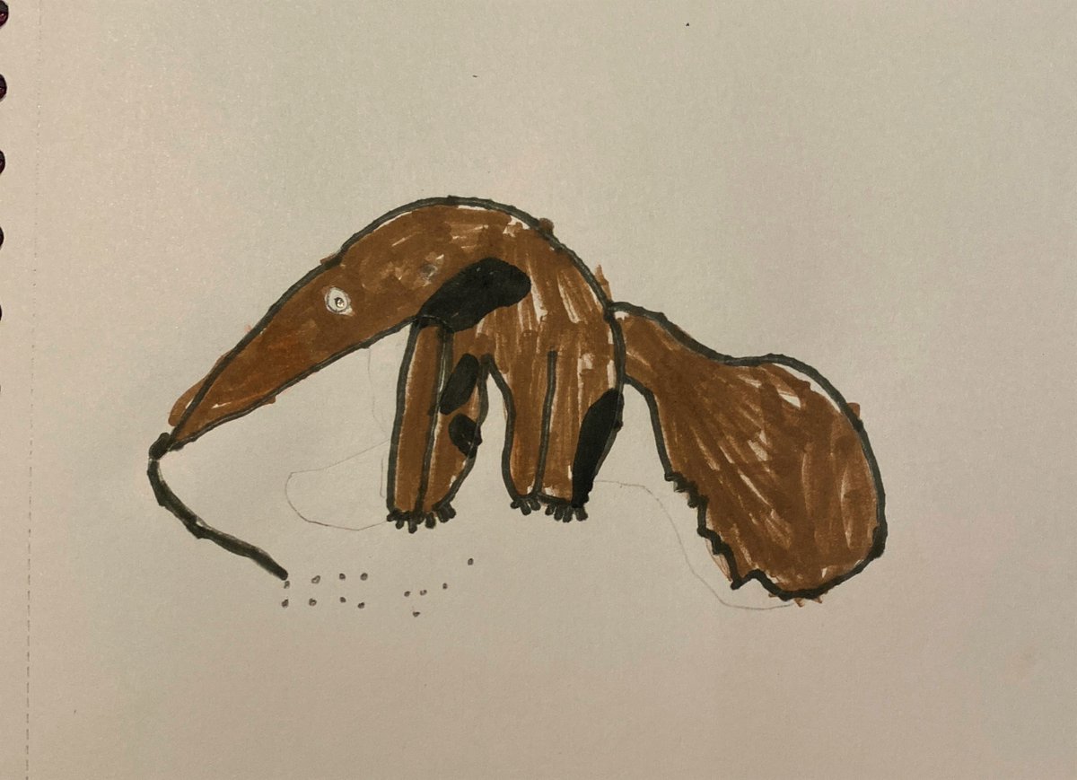 RPPS_Art's tweet photo. Did you know the giant anteater eats quickly, flicking its tongue up to 150 times per minute? @NGKids #RPPSYearOne #RPPSdraws #RPPSArt #RPPScreative #vulnerableanimals https://t.co/pIhVMXn50h