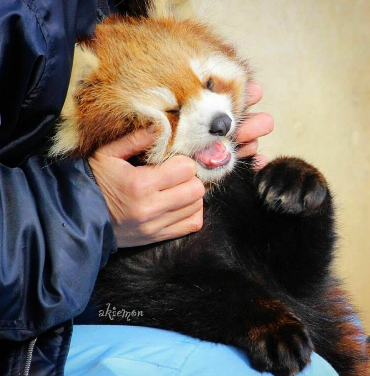 dwahgon's tweet photo. squimsh me like this pls and ty https://t.co/XehegV7GZi