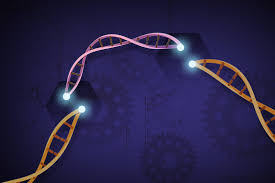 5) inherent issue with the test 10/n a) Cycle threshold: using a very high cycle threshold (>30) does not correlate with finding an infectious virus. The test is likely finding dead genetic chunks of the virus after being decimated by the immune system.