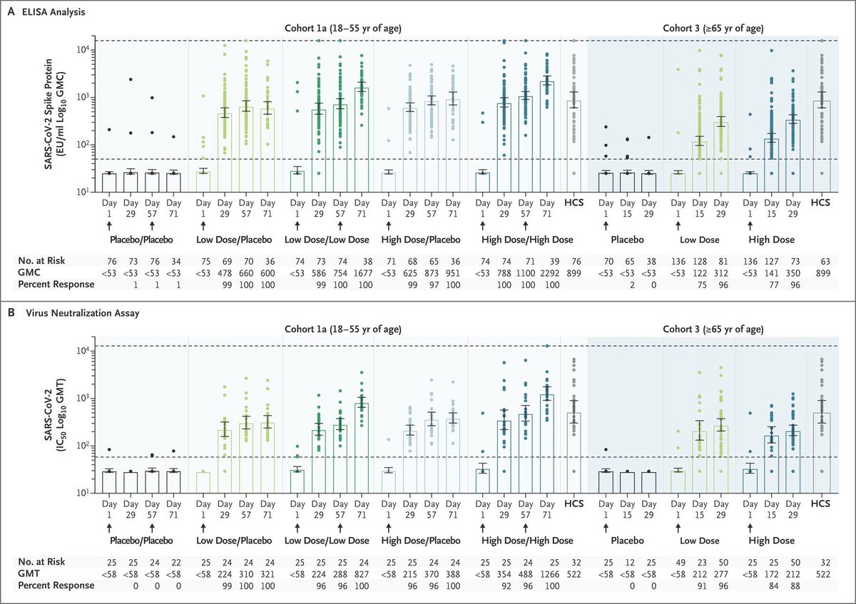 3/  Neutralizing antibodies against SARS-CoV-2 were detected in 90% of participants 29 days after the first dose and in 100% by day 57 for ALL groups.  Antibody titers further increased & stabilized over 71 days of follow-up, suggesting durability of immune response.