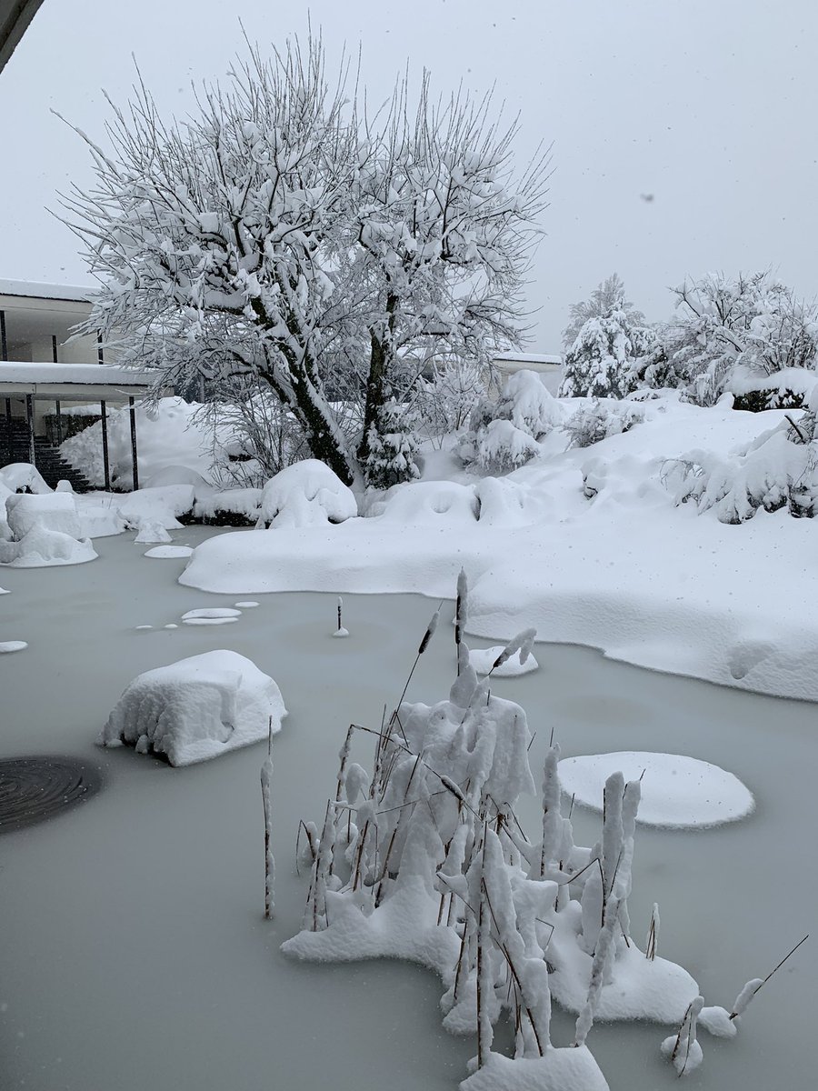 Ale_Curioni's tweet image. Really an extraordinary snowfall today in Zurich and at the Lab. #snowfall #ibmresearch #Zurich