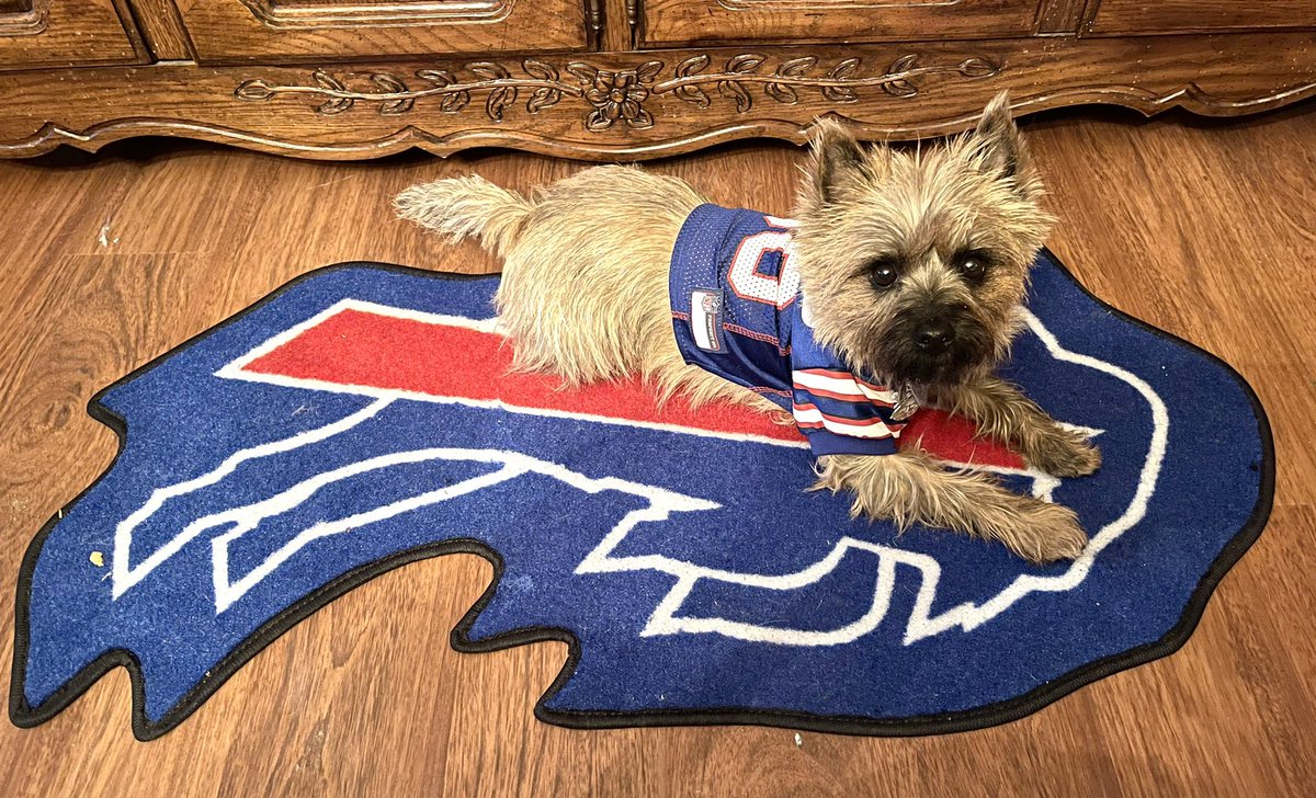 My coworker has the team spirit today! #GoBills #delawarenorthproud @BuffaloBills @DogsOfBuffalo @delawarenorth