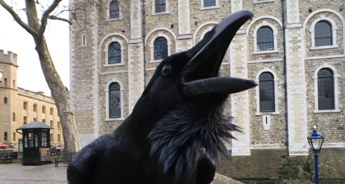 At first Charles was happy to do so, until someone pointed out that getting rid of the ravens would surely be a bad omen: these birds had always been at the Tower, and were an important symbol of national stability  (5/10)