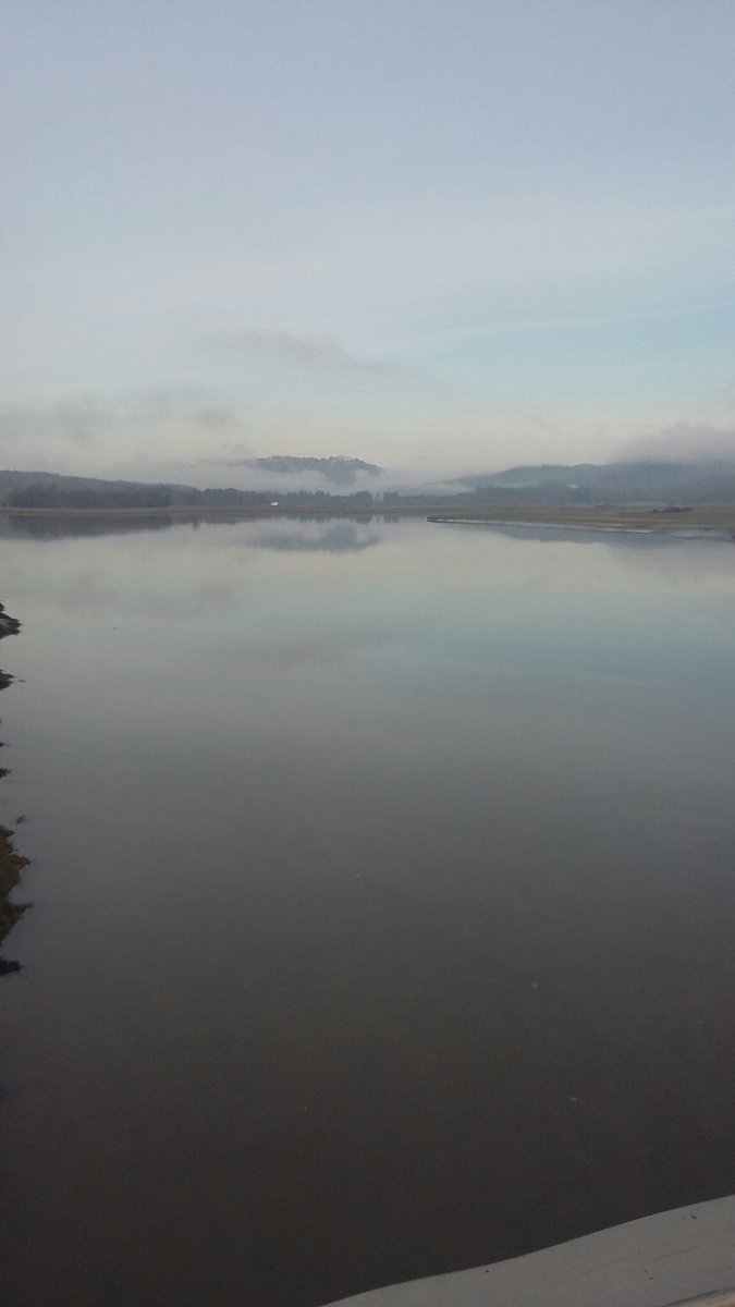 TheLengthsman's tweet image. Probably the coldest #permitted #dogwalk of the year over the Leven Estuary.  Home for a hot toddy !