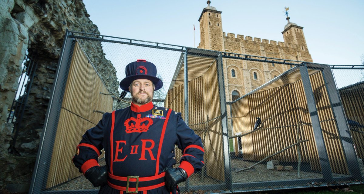 Today, our current Ravenmaster Chris Skaife ( @ravenmaster1) ensures that we always have the required six ravens in residence, plus one or two spares.We now have seven ravens, so you can rest assured that the Tower and the kingdom is still safe  (10/10)