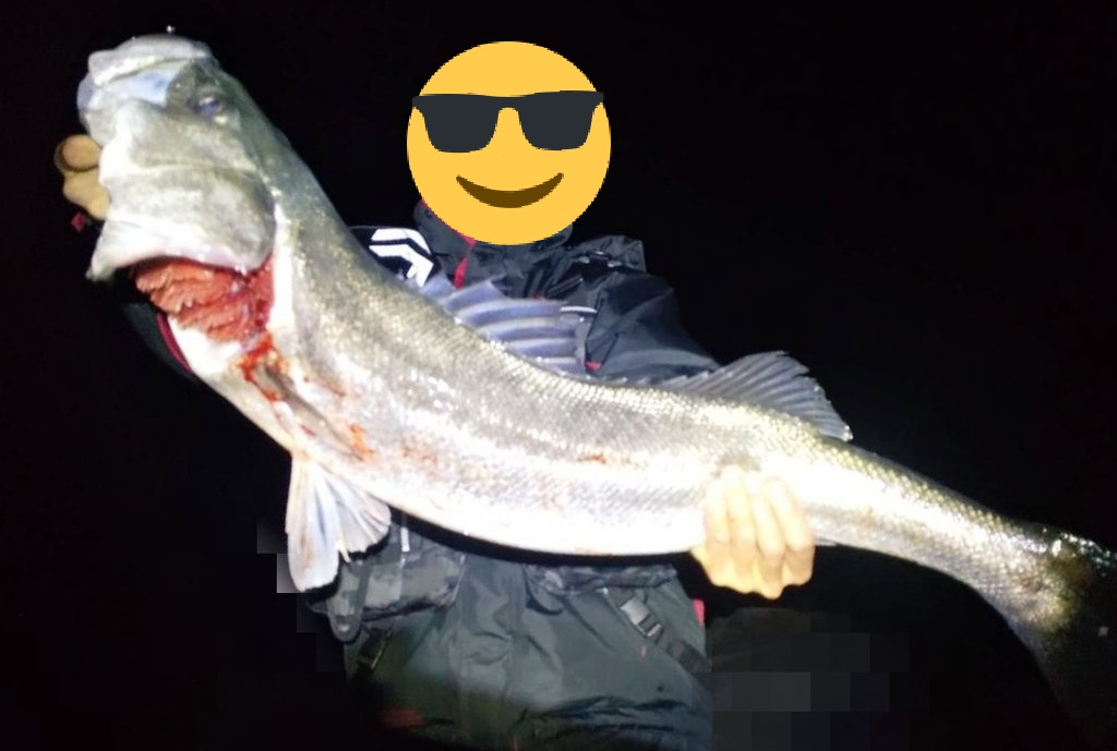 ライダー tweet media