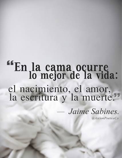 ErickReyesLeon's tweet photo. Muy #BuenosDiasATodos #FelizViernesATodos ✌🏼🍀 https://t.co/8KBJytqxhd