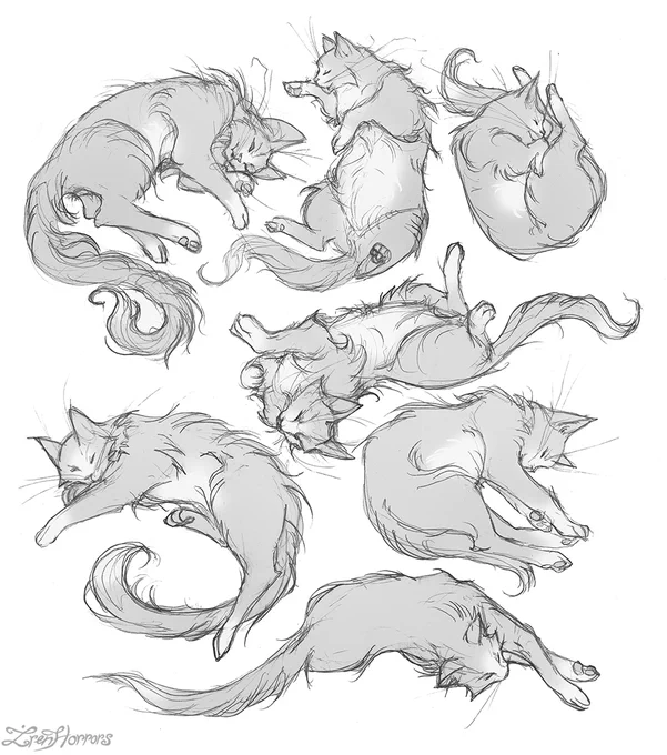 Sleepy babies ? ? 
A bit of cats sketches ✏️
Fluffy or hairless? As for me both are cute ? 