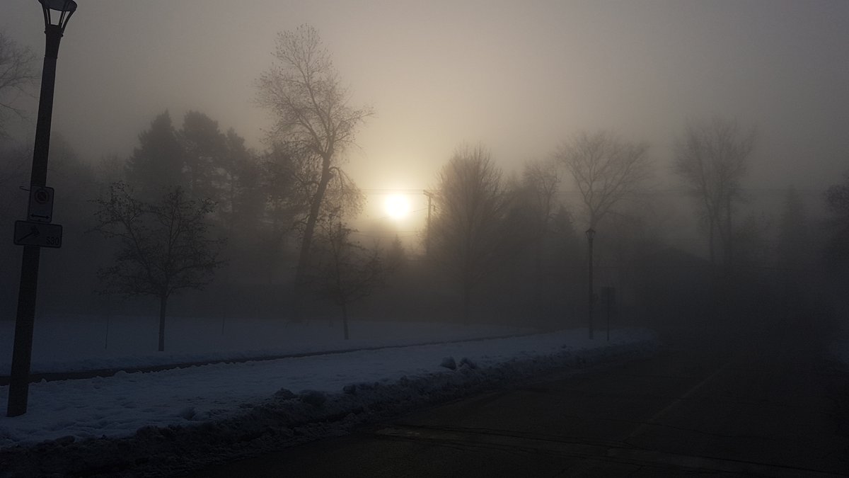 LoriGrahamMTL's tweet photo. A #smoggy start to the day in #Montreal
#SmogWarning in effect
Thanks to Nick Ciarallo for the pic!
@CTVMontreal https://t.co/Cpd1dMxZer