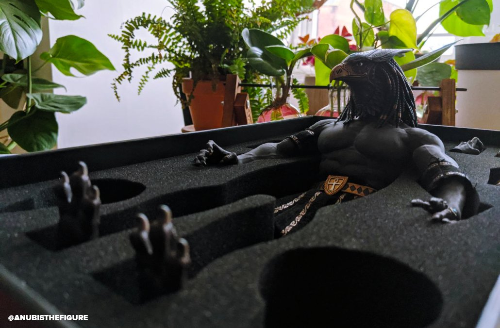 🔥 Hot Anubis Hours 🔥 tweet media