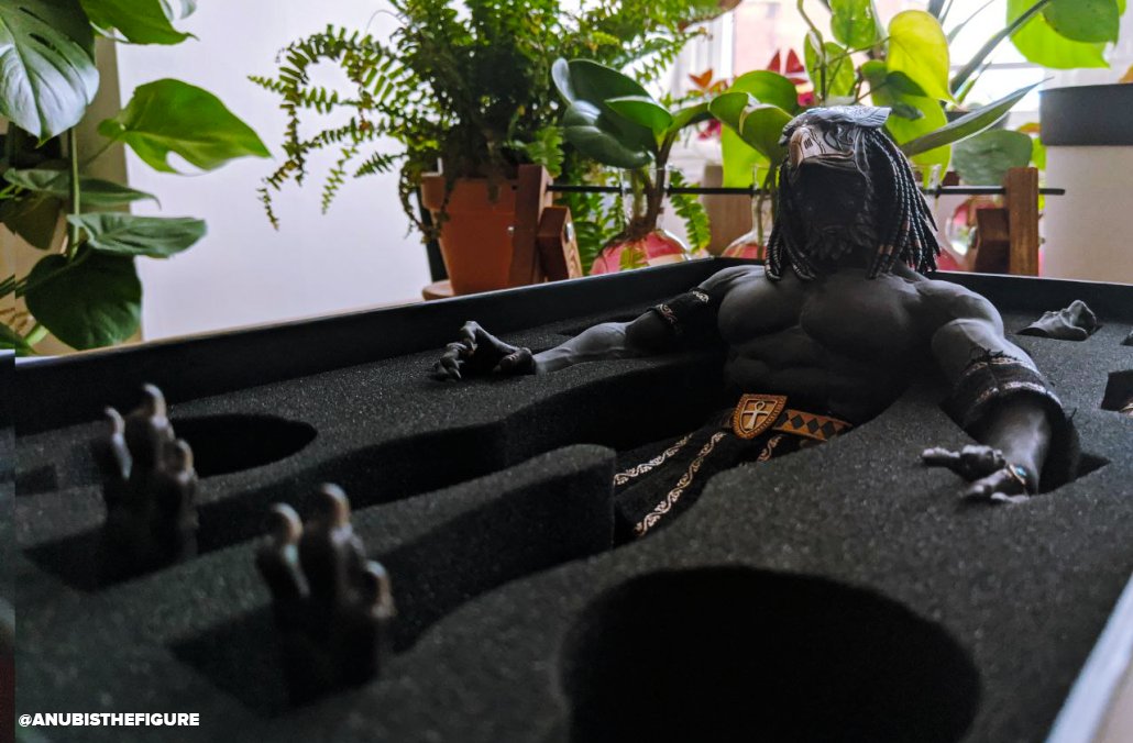 🔥 Hot Anubis Hours 🔥 tweet media