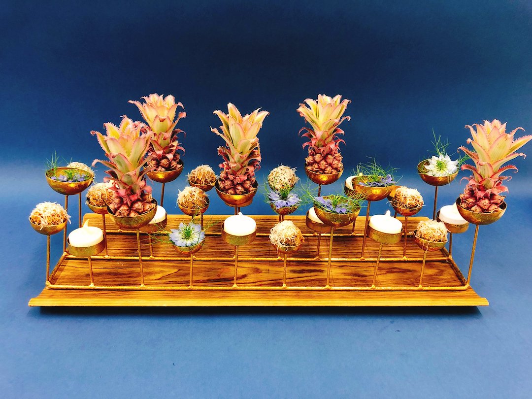 Venuebility tweet media