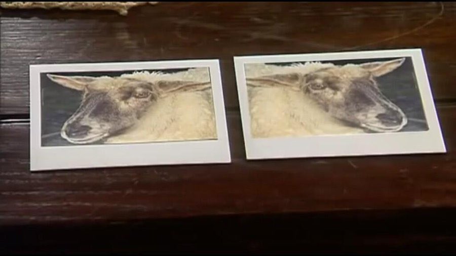 Father Ted Quote of the Day tweet media