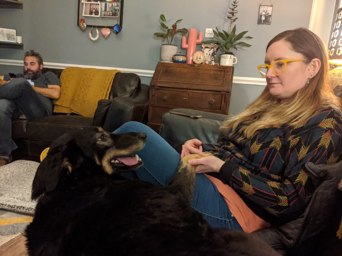 foxwench's tweet photo. Sammy would like to introduce his little sister, Peggy 🥰 https://t.co/Cb9b2tH3Id