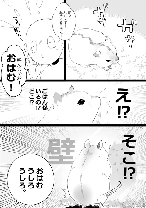 逆むいちゃうんだなぁ。反響してるのかな?
#ハムスター漫画 