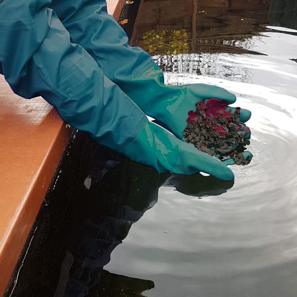yespleasegift's tweet photo. The #WeatherForTheWeekAhead causing havoc with drainage? Blocked guttering? Mucky #gardening jobs to be done? These 60cm long, thick and durable gloves are just the ticket! Great for #garden ponds, #aquarium owners, #plumbing and more. https://t.co/NnOEpaBo8J