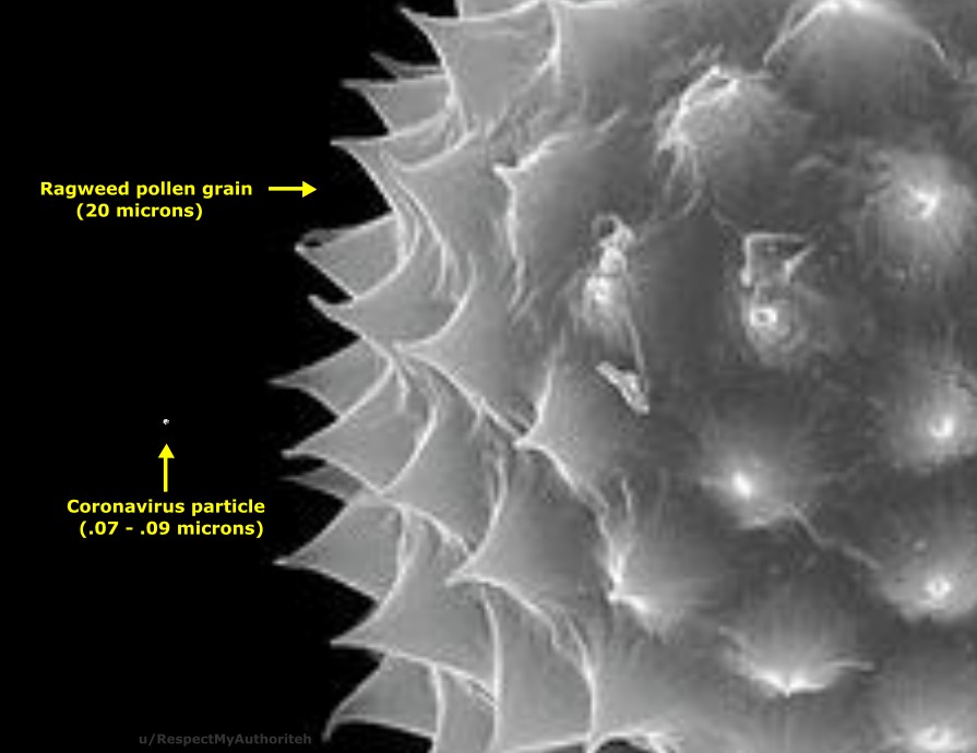 This is why the Japanese started wearing face masks in Spring-Summer: pollen related hayfever & pollution. Look at the difference in size of a pollen with a coronavirus particle.