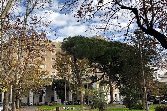 Roma's tweet photo. 🌳700 nuovi alberi per piazza dei Navigatori e vie limitrofe.
Iniziati gli interventi di rinnovo delle alberate stradali relative al progetto 📑#RomaDecide, la potatura di circa 100 platani in viale di Tor Marancia è il primo step di questa operazione https://t.co/zTNyR1LIr2 https://t.co/99bs82vWj2
