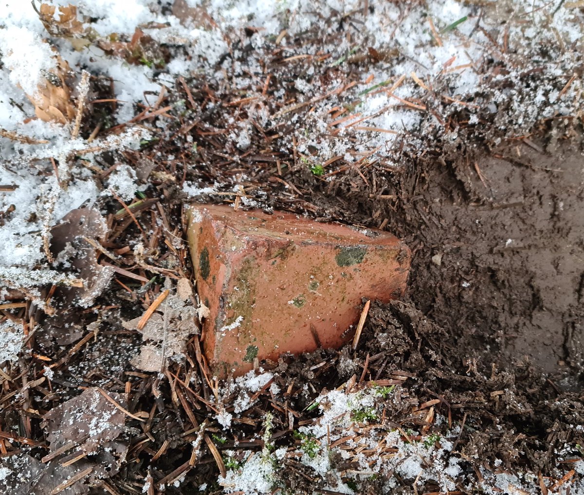 Went over to Top O'th' Slate in #Haslingden this morning as part of our research into a murder back in 1902. 

This brick was poking it's way through the frozen soil as if to say to the world, 'Look, I'm still here. Never forget our history!' 👀
#localcrime #murder #history