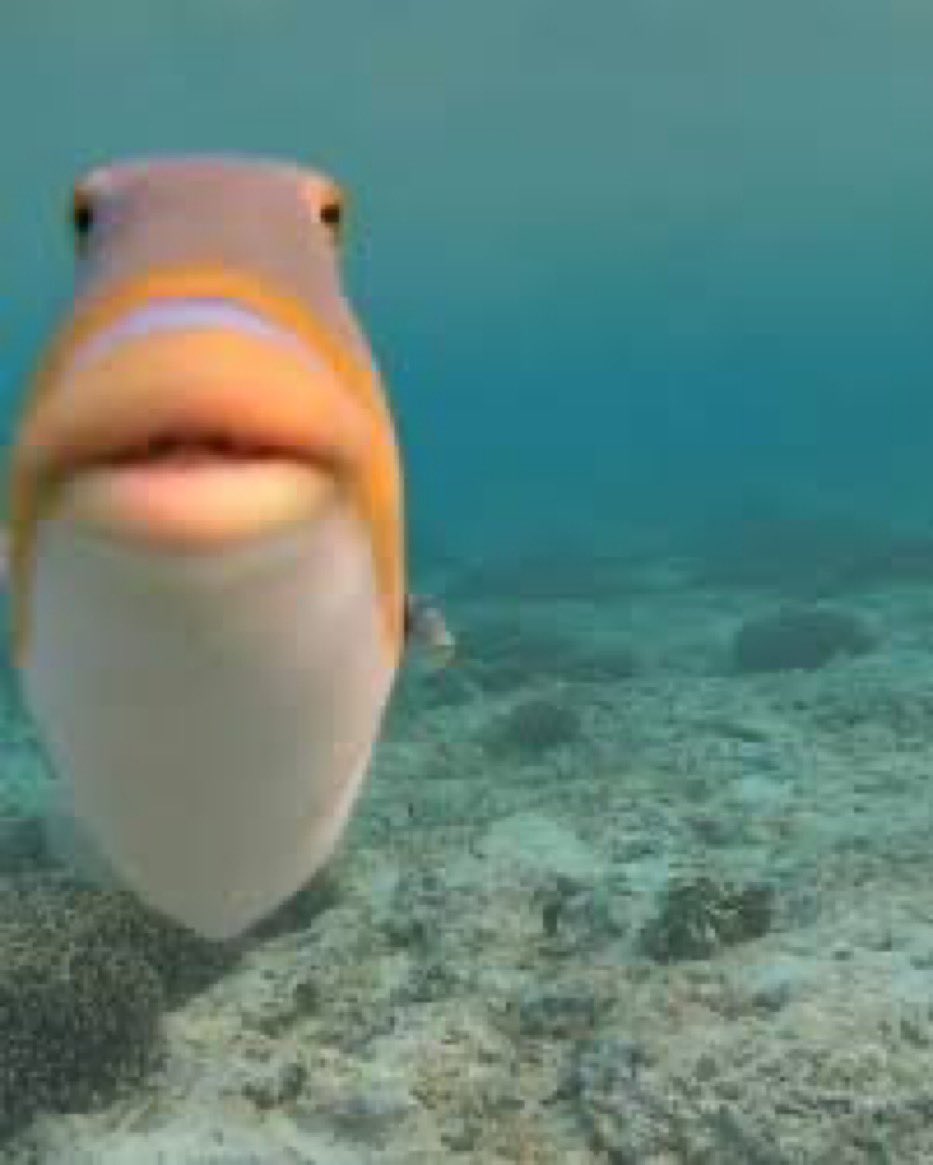 Yo delante de una puerta mecánica abierta esperando a que se abra