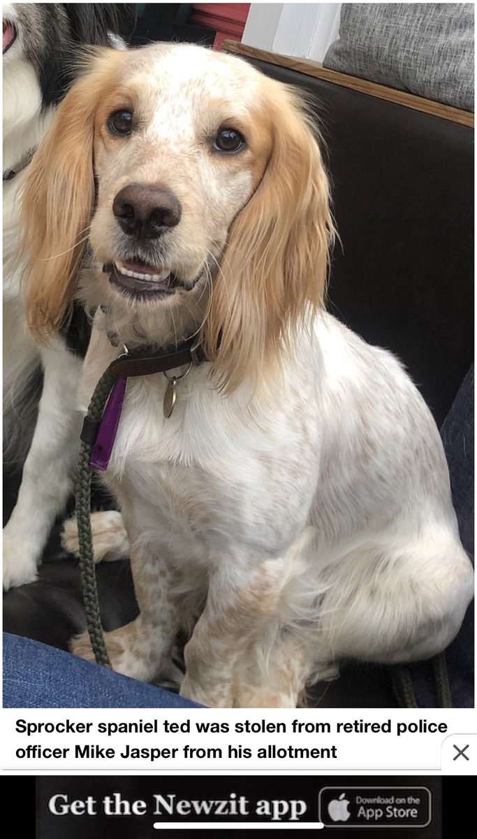 Merton Mums tweet media