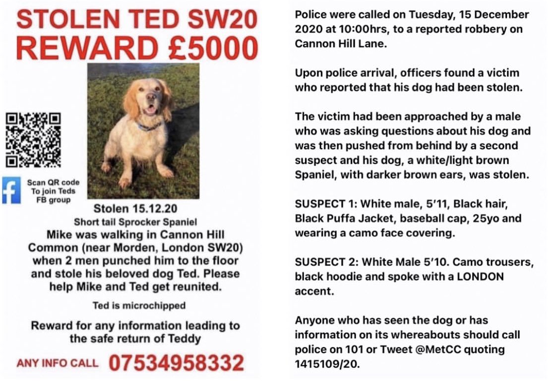 Merton Mums tweet media